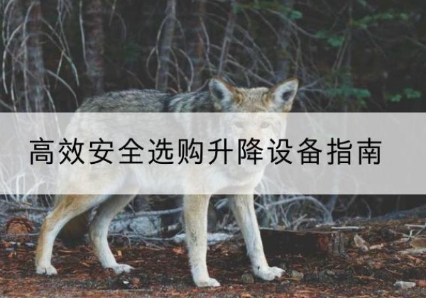 平邑升降货梯厂家推荐-*安全选购升降设备指南