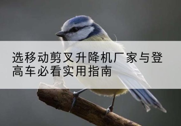 平邑电动升降机厂家-选移动剪叉升降机厂家与登高车必看实用指南