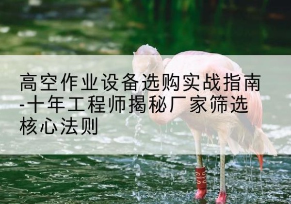 平邑剪叉式升降机厂家-高空作业设备选购实战指南-十年工程师揭秘厂家筛选核心法则
